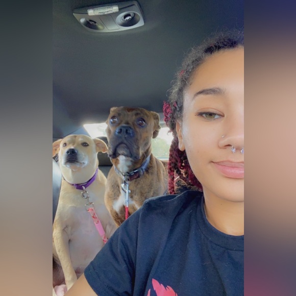 Meet your seller / Sign in ~ Live Show - Picture 6 of 9